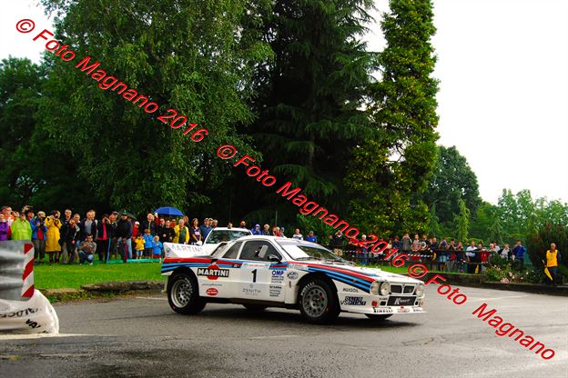 DSC_1431.JPG